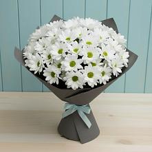 Букет цветов из:  Хризантемы #REPLACE_PRED# Верхнеяркеево